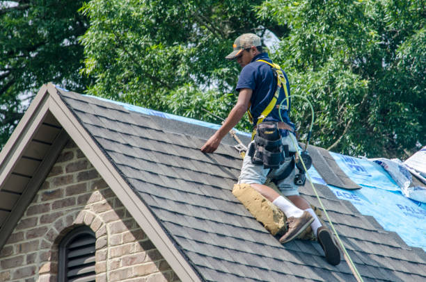 Roof Repair Estimates in Marshall, TX